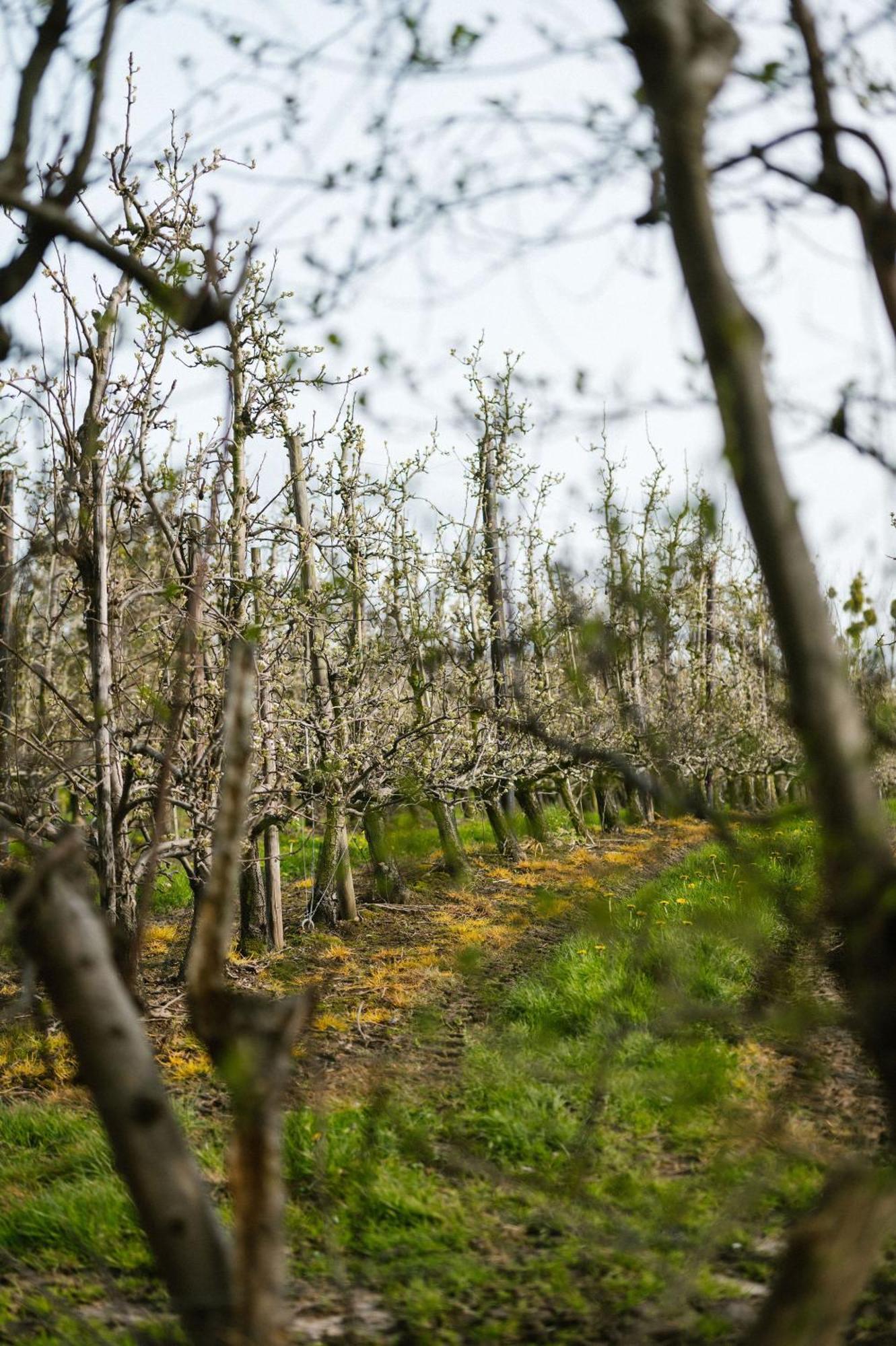 Hoeve De Reetjens - La Gouvernante Bilzen Luaran gambar